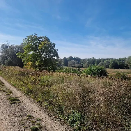 Geraeumige Und Zentrale *