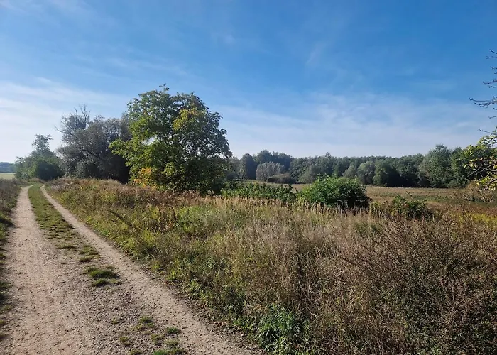 Geraeumige Und Zentrale *